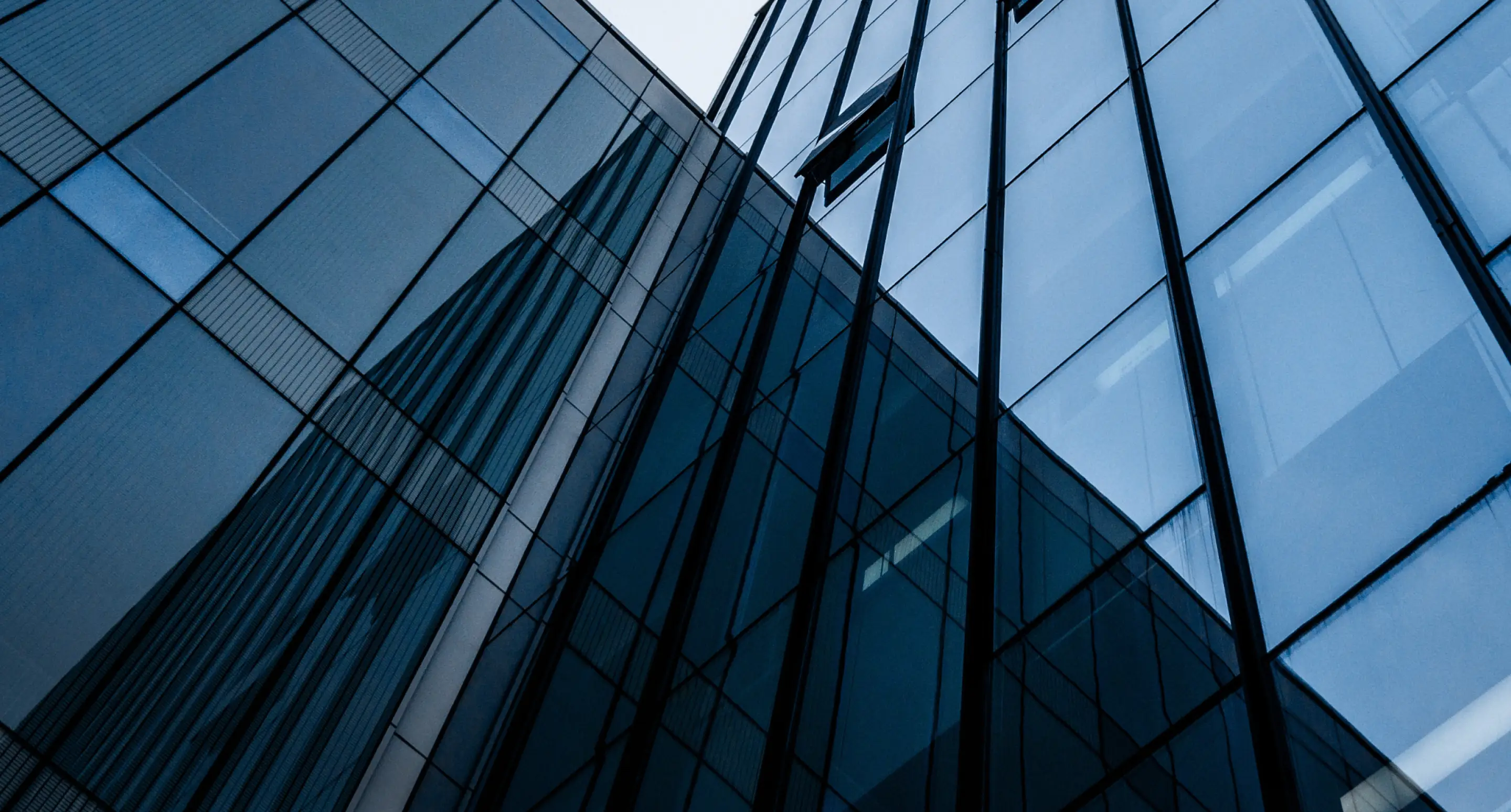 Discover our new asset management business line